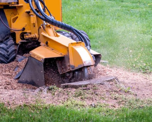 Stump Grinding 1