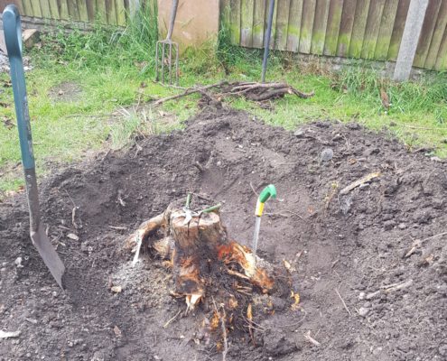 Stump Removal 1