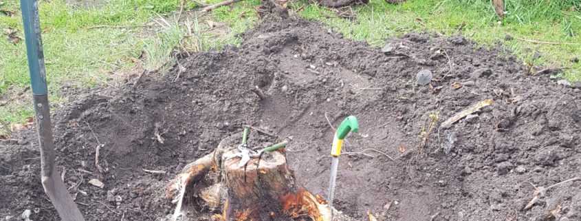 Stump Removal 1