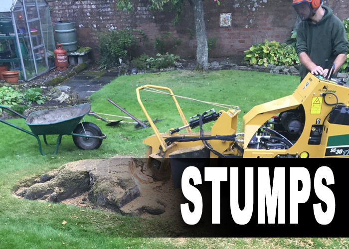 Stump Grinding Removals