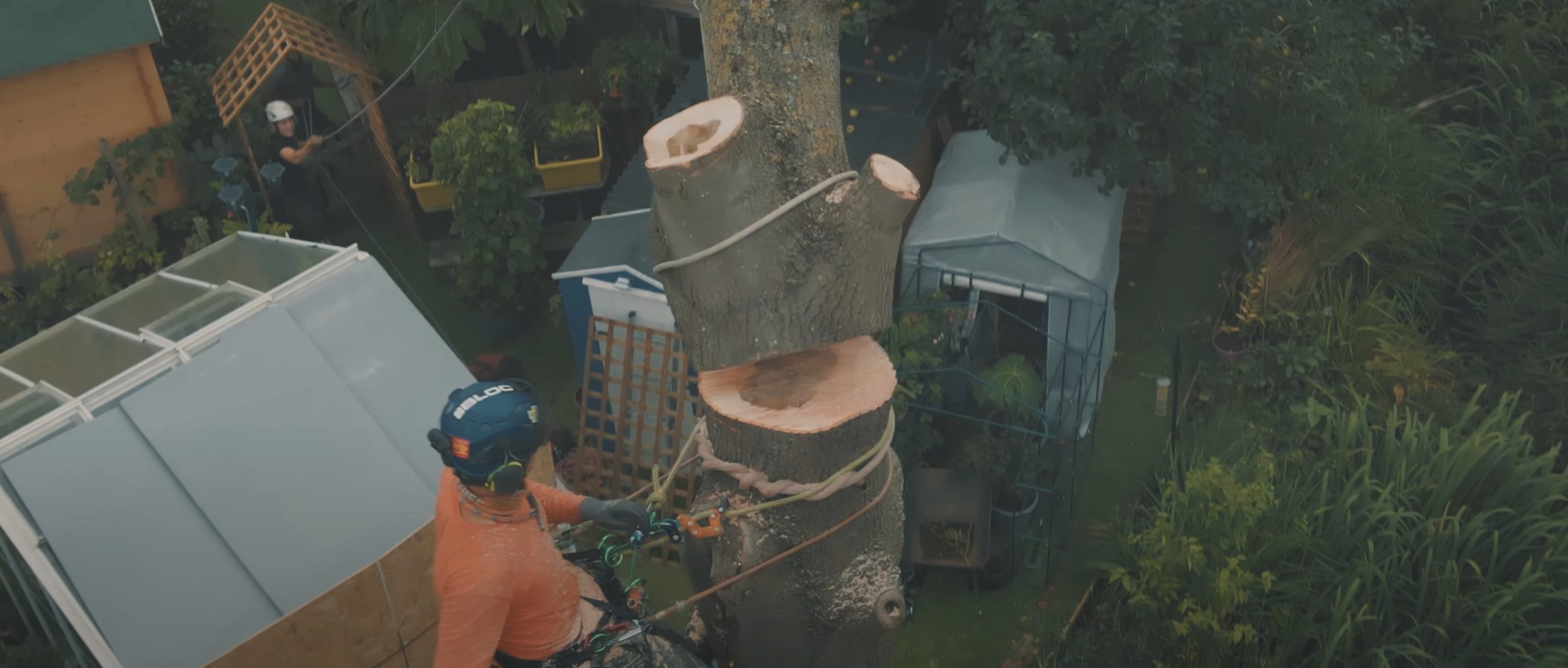Tree Care Stump Grinding