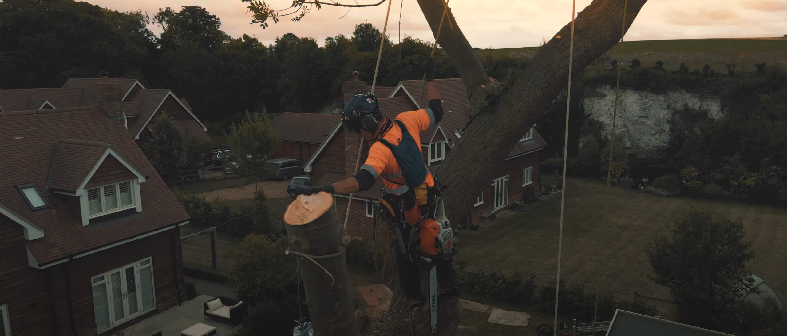 Tree Services Stump Grinding 01